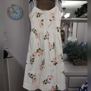 Ellen Tracy Cascading Roses Cotton Dress XL NWT